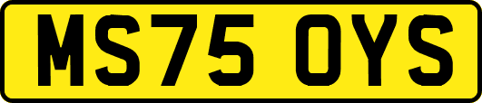 MS75OYS