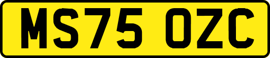 MS75OZC