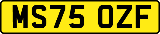 MS75OZF
