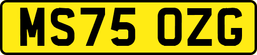 MS75OZG