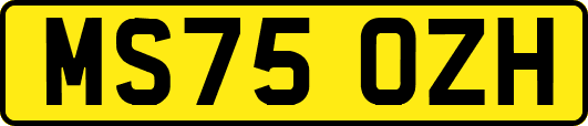 MS75OZH