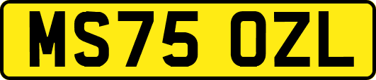 MS75OZL