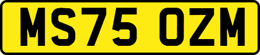 MS75OZM