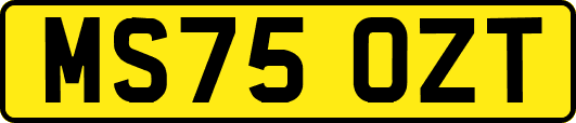 MS75OZT