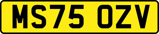 MS75OZV