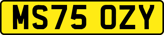 MS75OZY