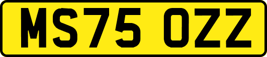 MS75OZZ