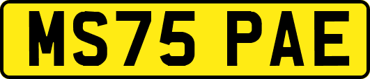 MS75PAE