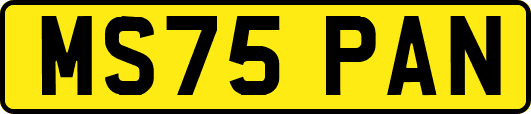 MS75PAN