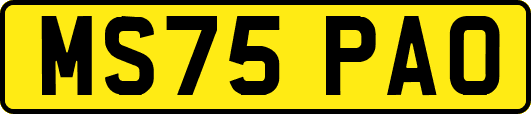 MS75PAO