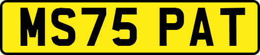 MS75PAT