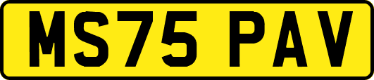 MS75PAV