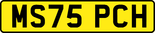 MS75PCH