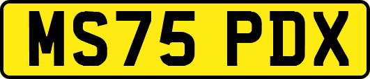 MS75PDX