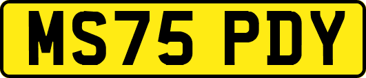 MS75PDY