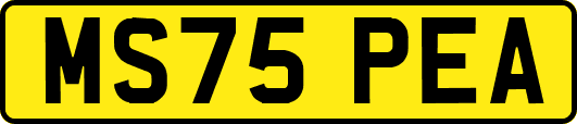 MS75PEA
