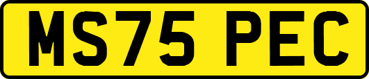 MS75PEC