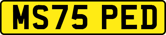 MS75PED
