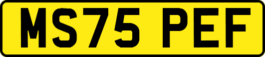 MS75PEF