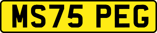 MS75PEG