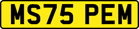 MS75PEM