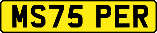 MS75PER