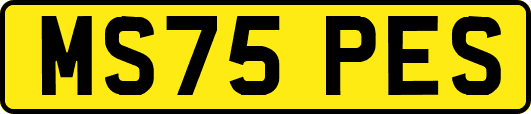 MS75PES