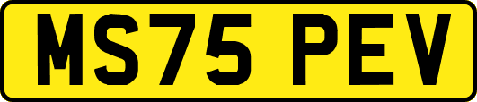 MS75PEV