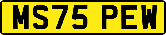 MS75PEW