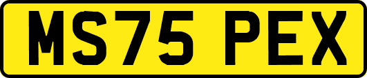 MS75PEX