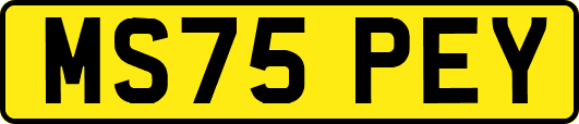 MS75PEY