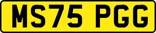 MS75PGG