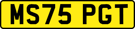 MS75PGT