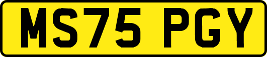 MS75PGY