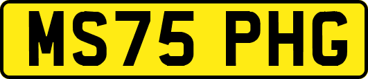 MS75PHG