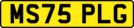 MS75PLG