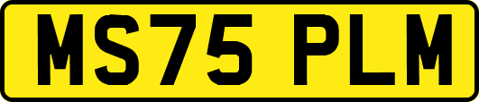 MS75PLM