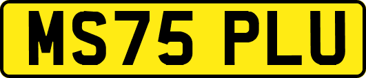 MS75PLU