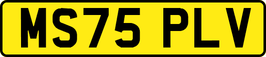 MS75PLV