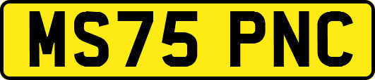 MS75PNC