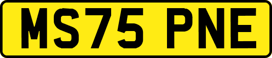 MS75PNE