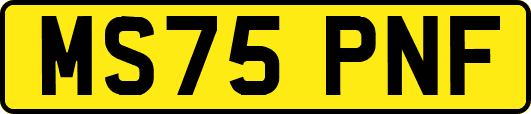 MS75PNF