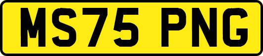 MS75PNG