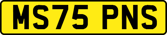 MS75PNS