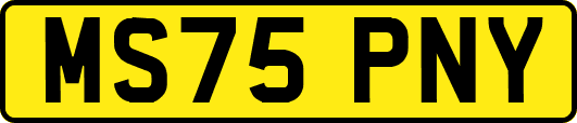 MS75PNY
