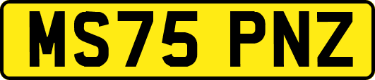 MS75PNZ