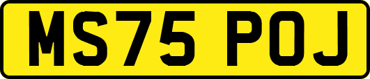 MS75POJ