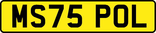 MS75POL