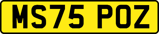 MS75POZ