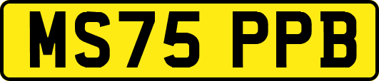 MS75PPB